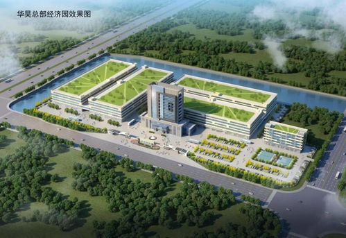 龙港265亿项目集中开工 学校、医院、公园……城市更新全面提速
